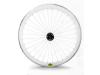Espresso White Wheelset with coaster brake