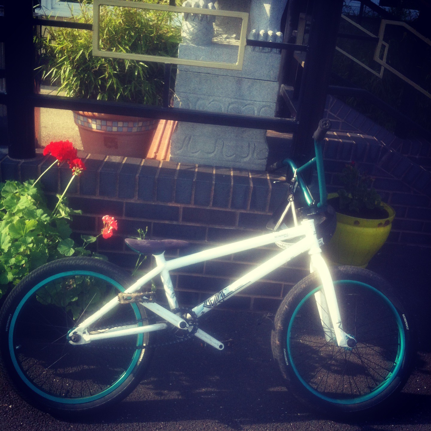 WeThePeople Zodiac (2012)